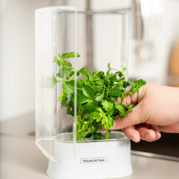 Tramontina 1.2 Liters Refrigerator Herb Holder