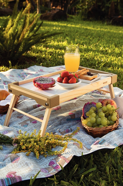 Portable Tray